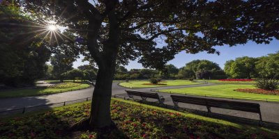 Stephens Green, Fáilte Ireland, Gareth McCormack Blue skies, splitting the trees. Bright green grass with red flowers.