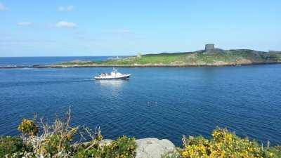 Dublin Bay Cruises Dalkey white and navy boat sailing beside green island