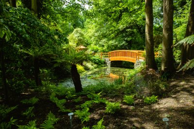 View of bridge in Malahide Gardens pic by Aramark malahide gardens view dublin ireland
