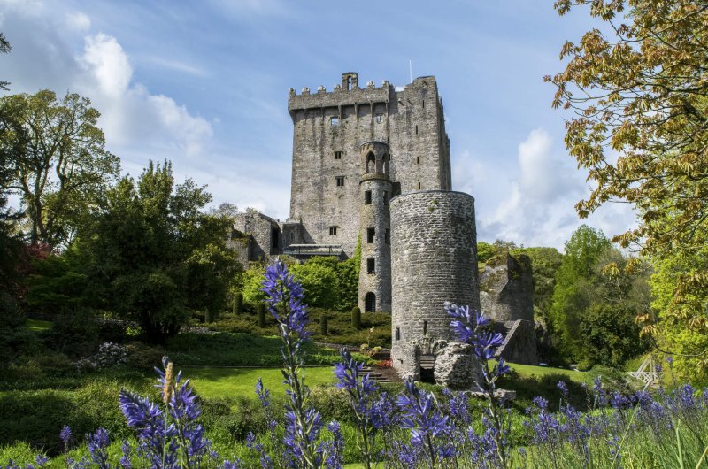 Blarney Castle and Gardens  Courtesy Blarney Castle and Gardens stone castle behind garden with purple flowers